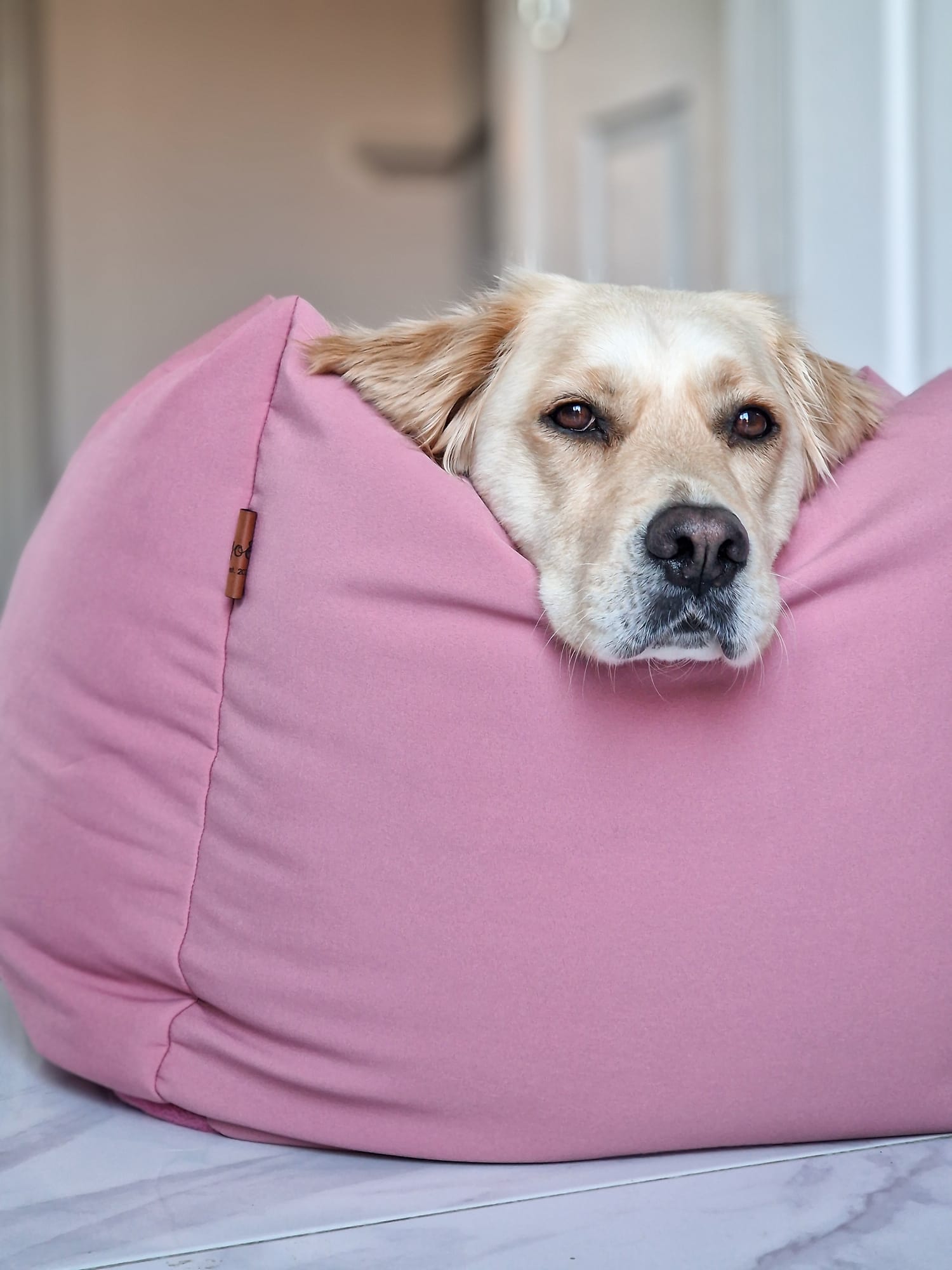 Waterproof Box Beds - Hugo and Ted