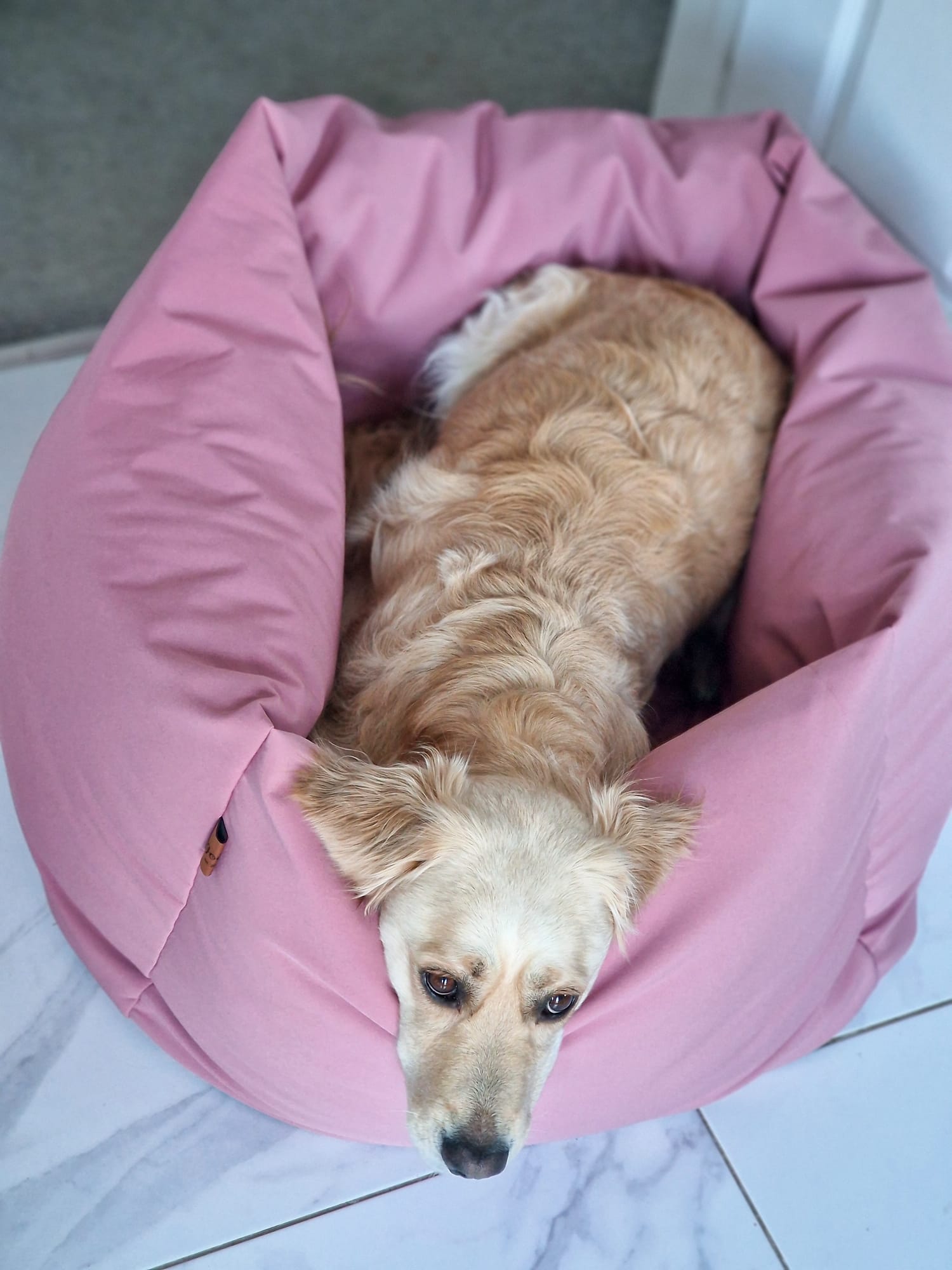 Waterproof Box Beds - Hugo and Ted