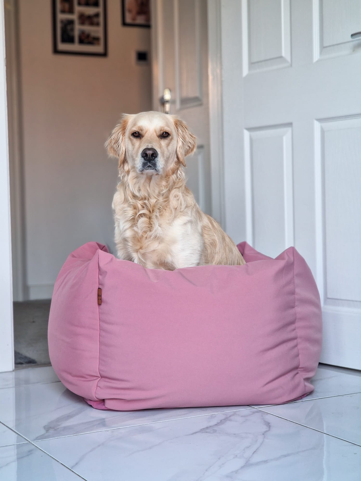 Waterproof Box Beds - Hugo and Ted