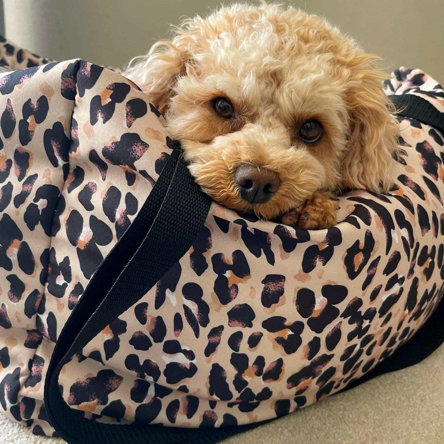Waterproof Car Beds - Hugo and Ted