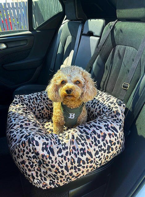 Waterproof Car Beds - Hugo and Ted