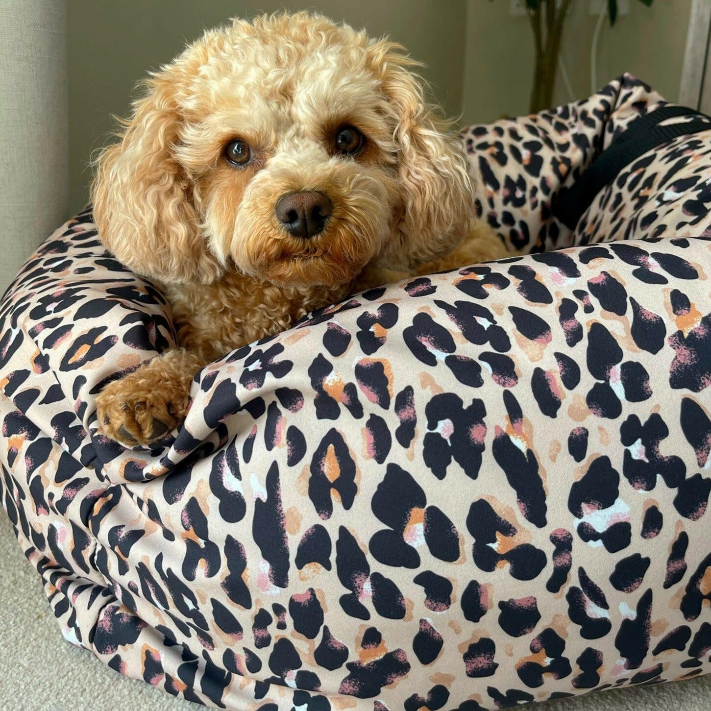 Waterproof Car Beds - Hugo and Ted