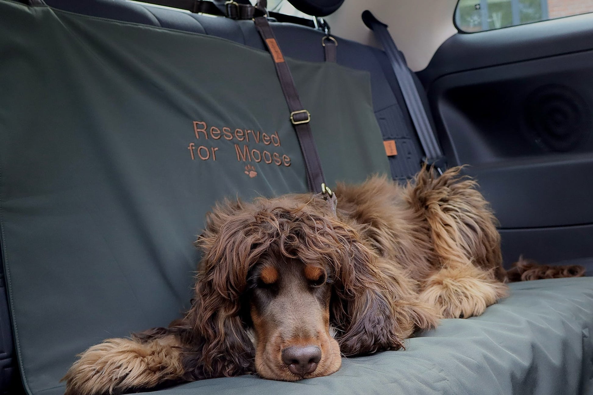 Waterproof Car Boot Liner Mat – Personalised Travel Mat for Dogs and Adventures - Hugo and Ted