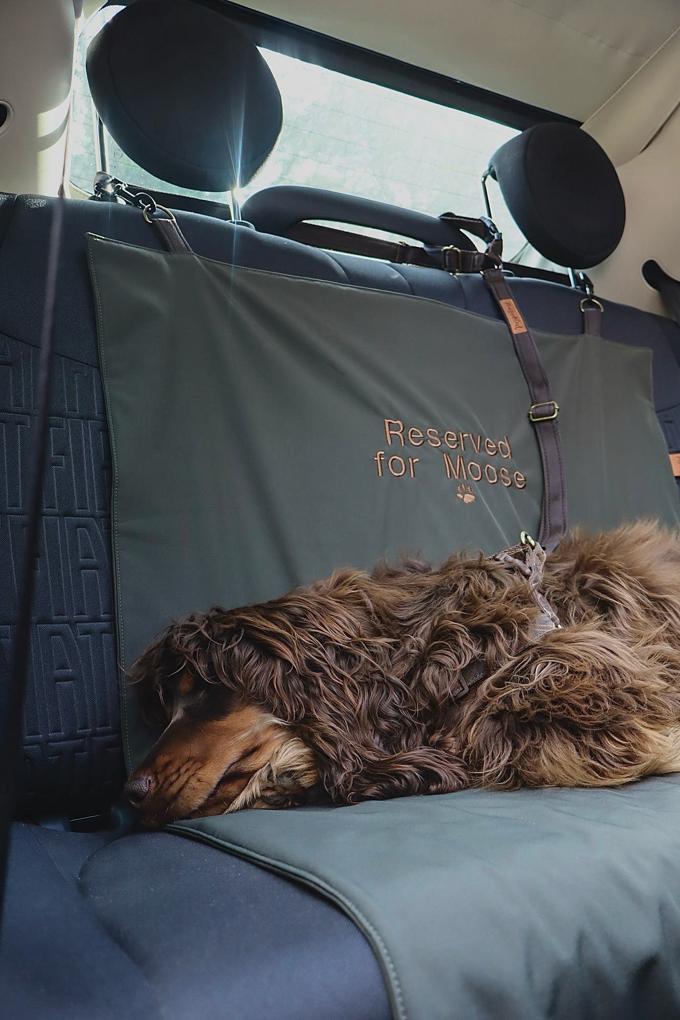 Waterproof Car Boot Liner Mat – Personalised Travel Mat for Dogs and Adventures - Hugo and Ted