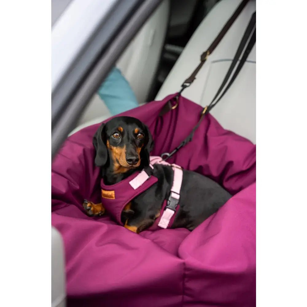 Waterproof Dog Car Seat Bed - 3 Sizes, Removable Covers, Machine Washable - Hugo and Ted