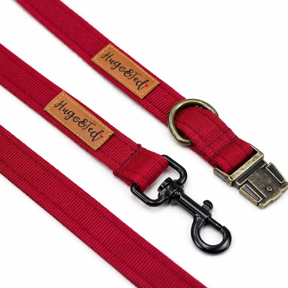Waterproof Dog Collar - 4 Sizes, Machine Washable, Wipe Clean - Hugo and Ted