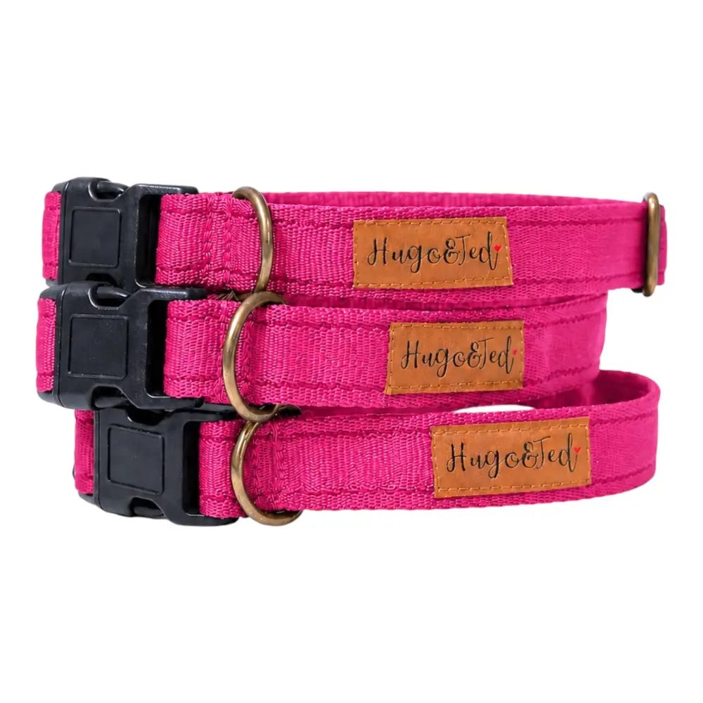 Waterproof Dog Collar - 4 Sizes, Machine Washable, Wipe Clean - Hugo and Ted