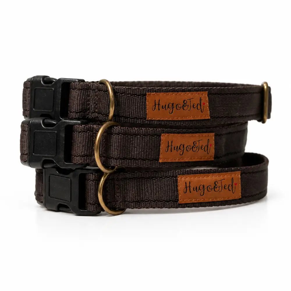 Waterproof Dog Collar - 4 Sizes, Machine Washable, Wipe Clean - Hugo and Ted