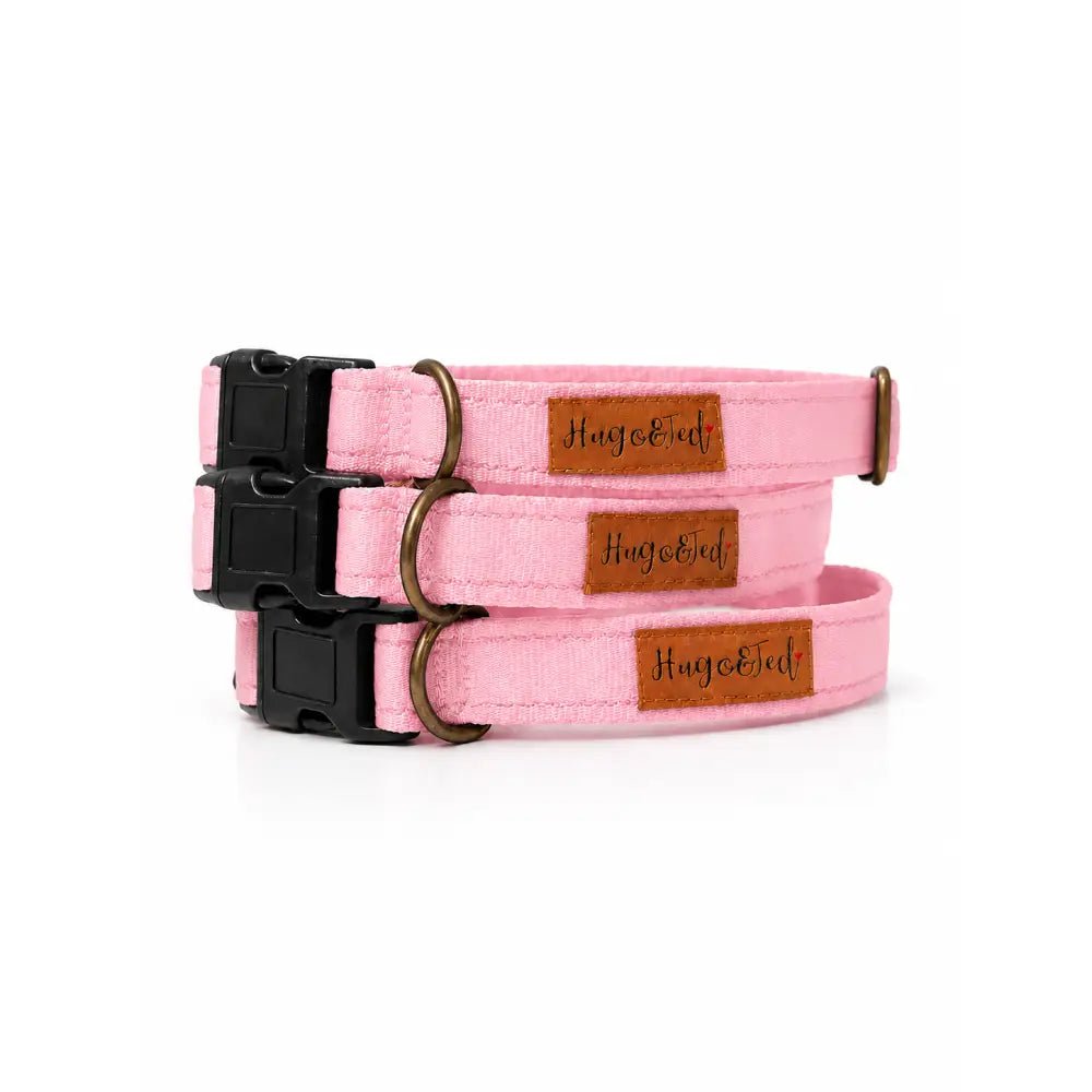 Waterproof Dog Collar - 4 Sizes, Machine Washable, Wipe Clean - Hugo and Ted