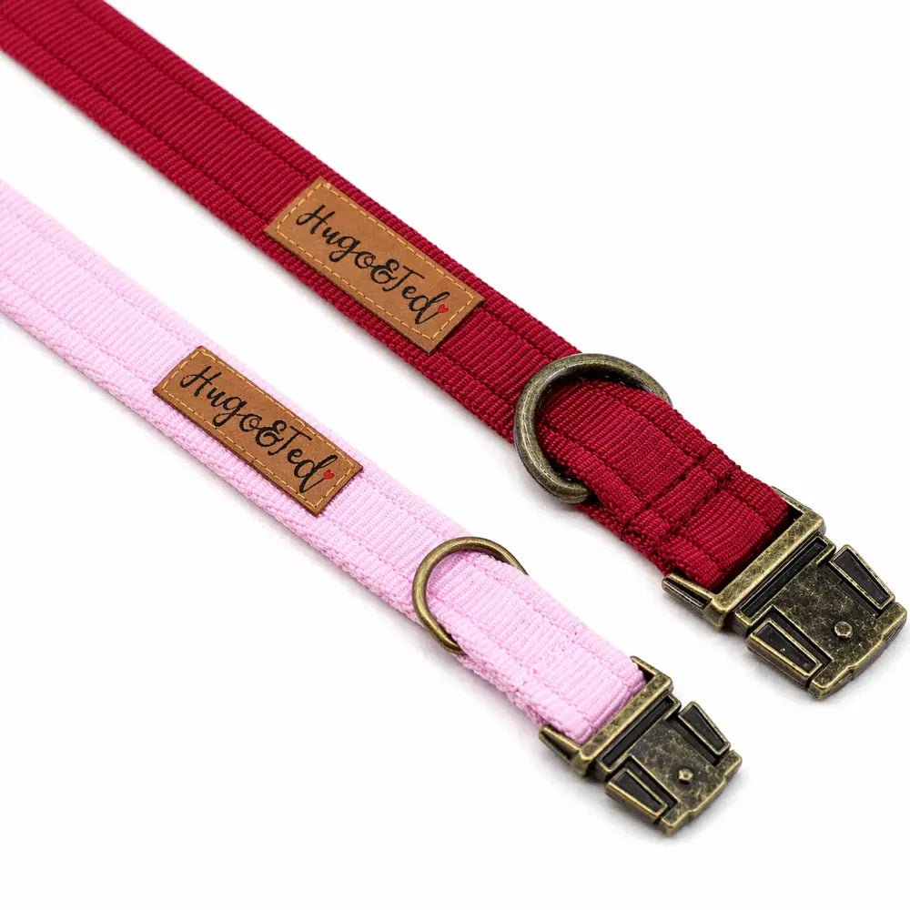 Waterproof Dog Collar - 4 Sizes, Machine Washable, Wipe Clean - Hugo and Ted