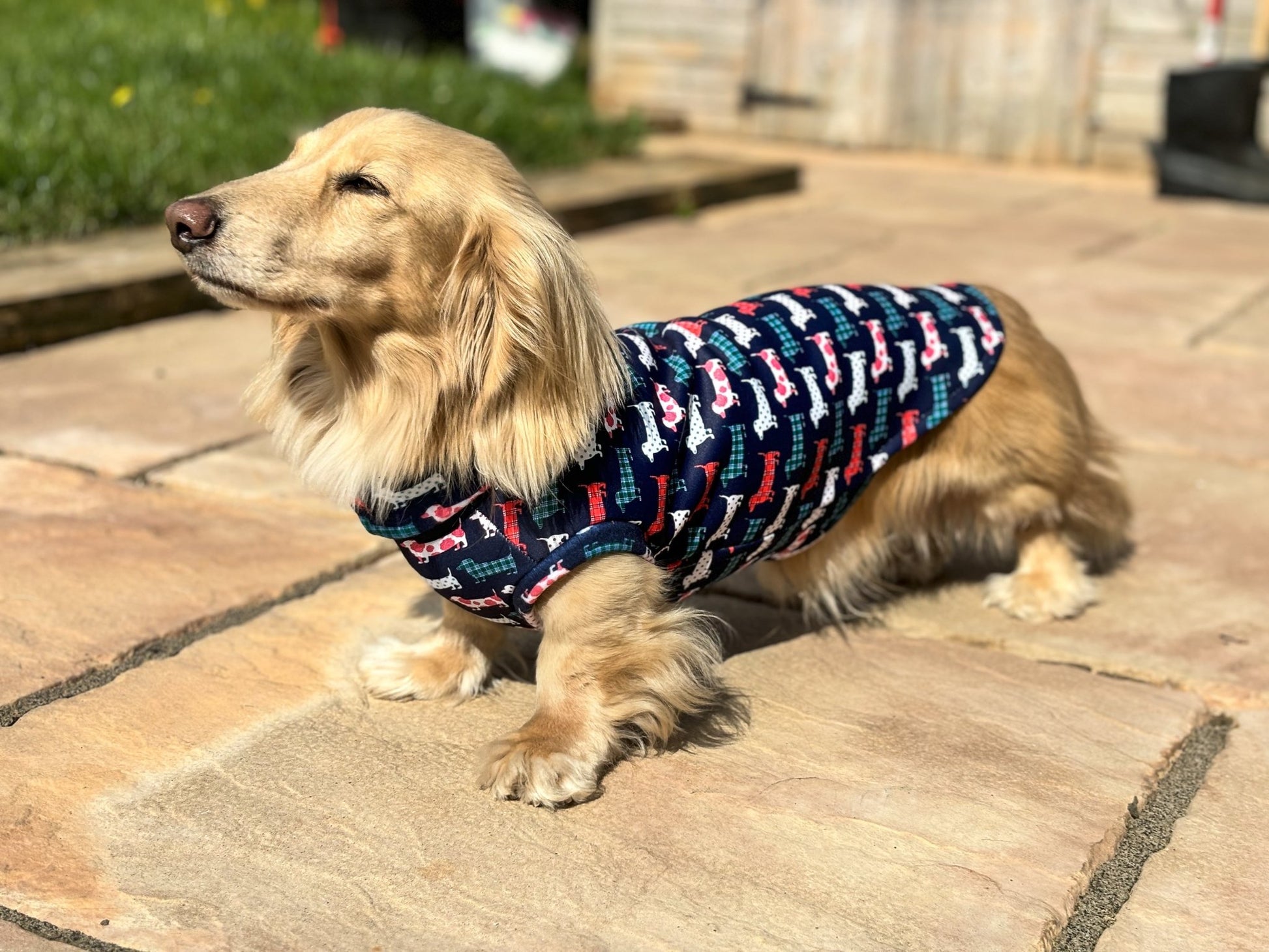 Waterproof Hugo and Ted Collection Rainfleeces - Hugo and Ted