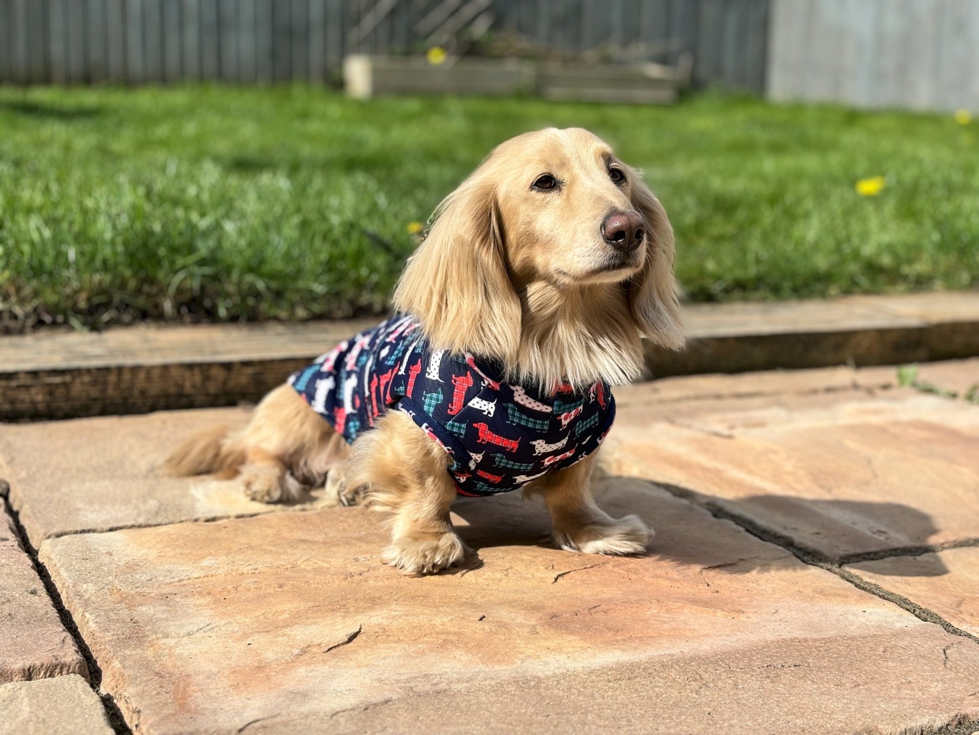 Waterproof Hugo and Ted Collection Rainfleeces - Hugo and Ted