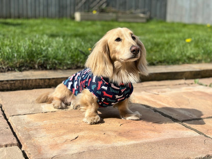Waterproof Hugo and Ted Collection Rainfleeces - Hugo and Ted