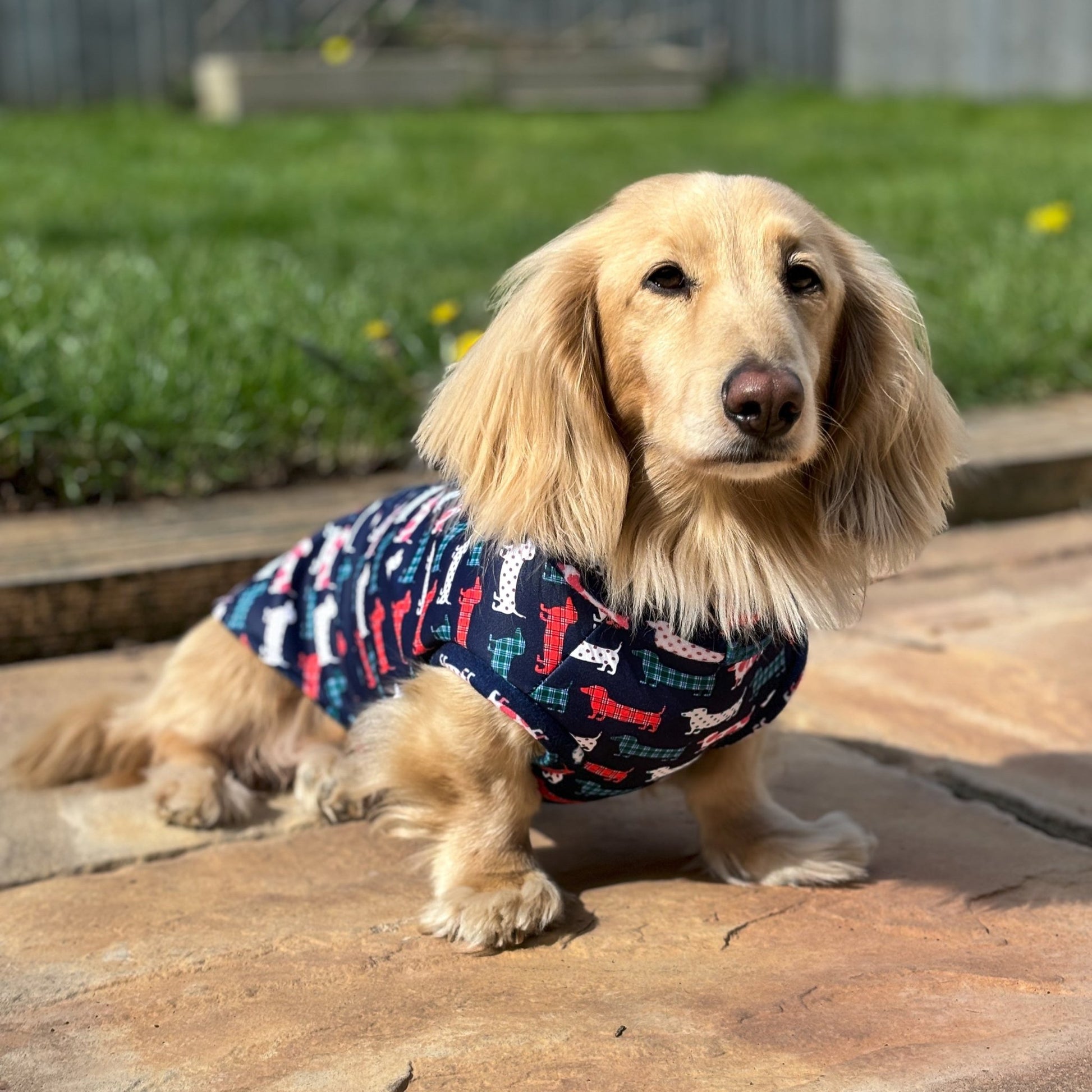 Waterproof Hugo and Ted Collection Rainfleeces - Hugo and Ted