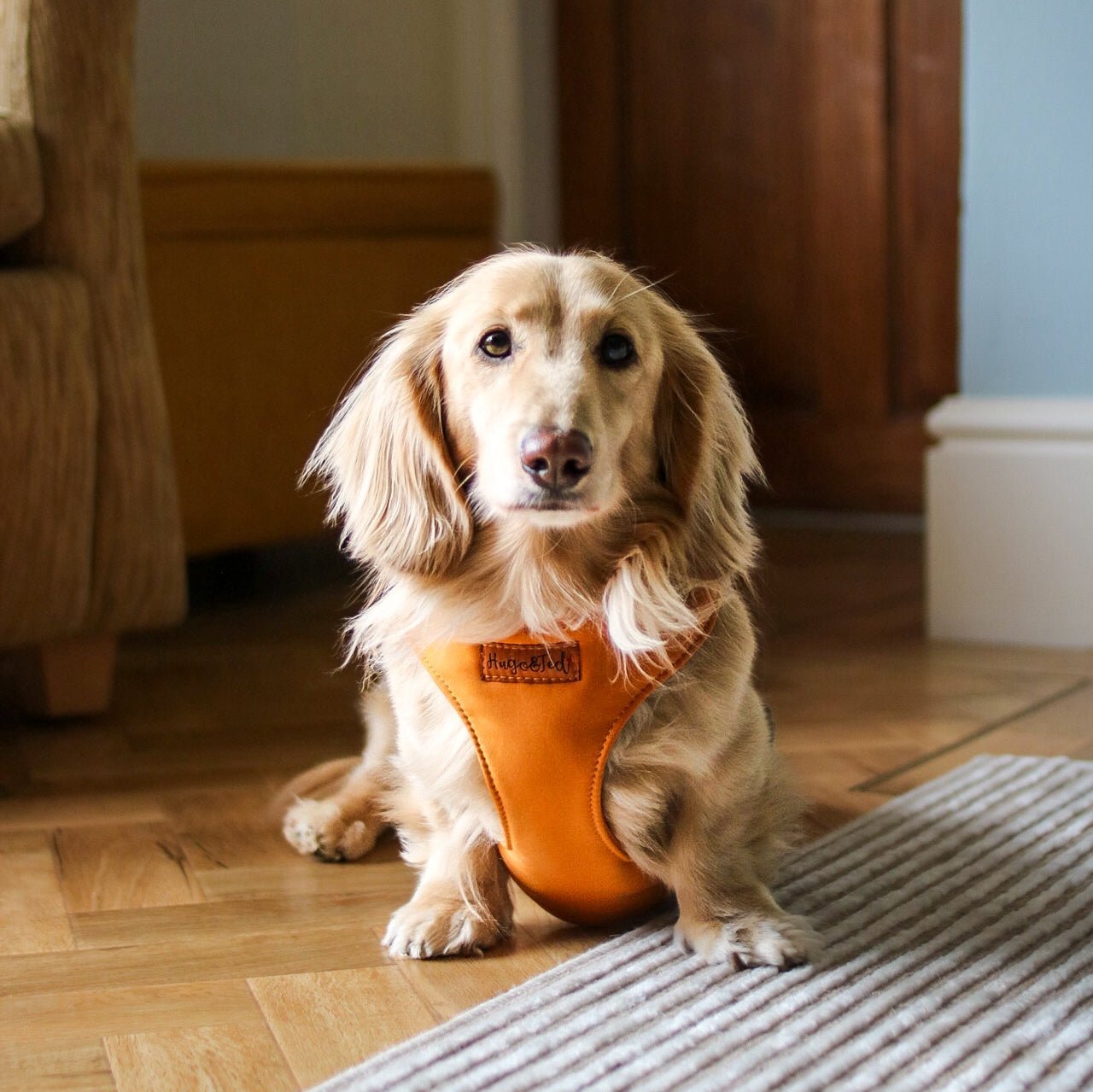 Waterproof Light - Weight Rainfleece Harnesses - Hugo and Ted