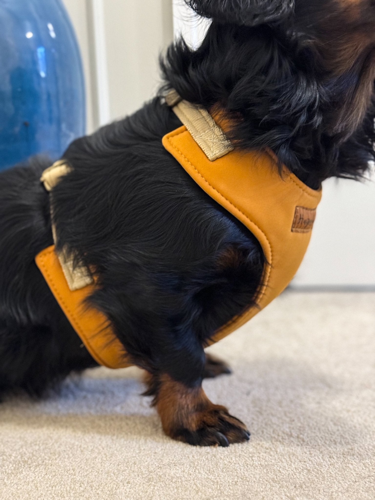 Waterproof Light - Weight Rainfleece Harnesses - Hugo and Ted