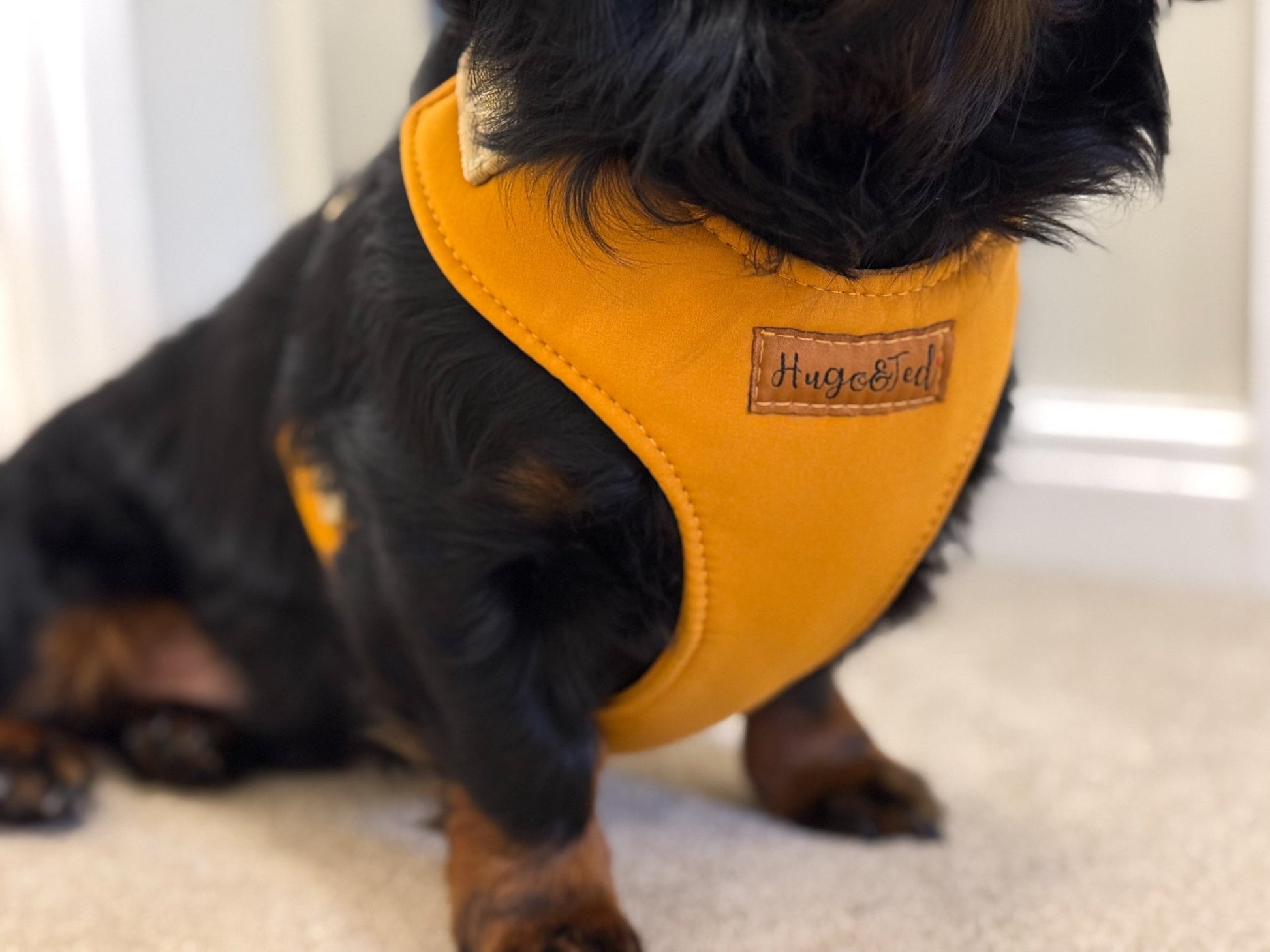 Waterproof Light - Weight Rainfleece Harnesses - Hugo and Ted