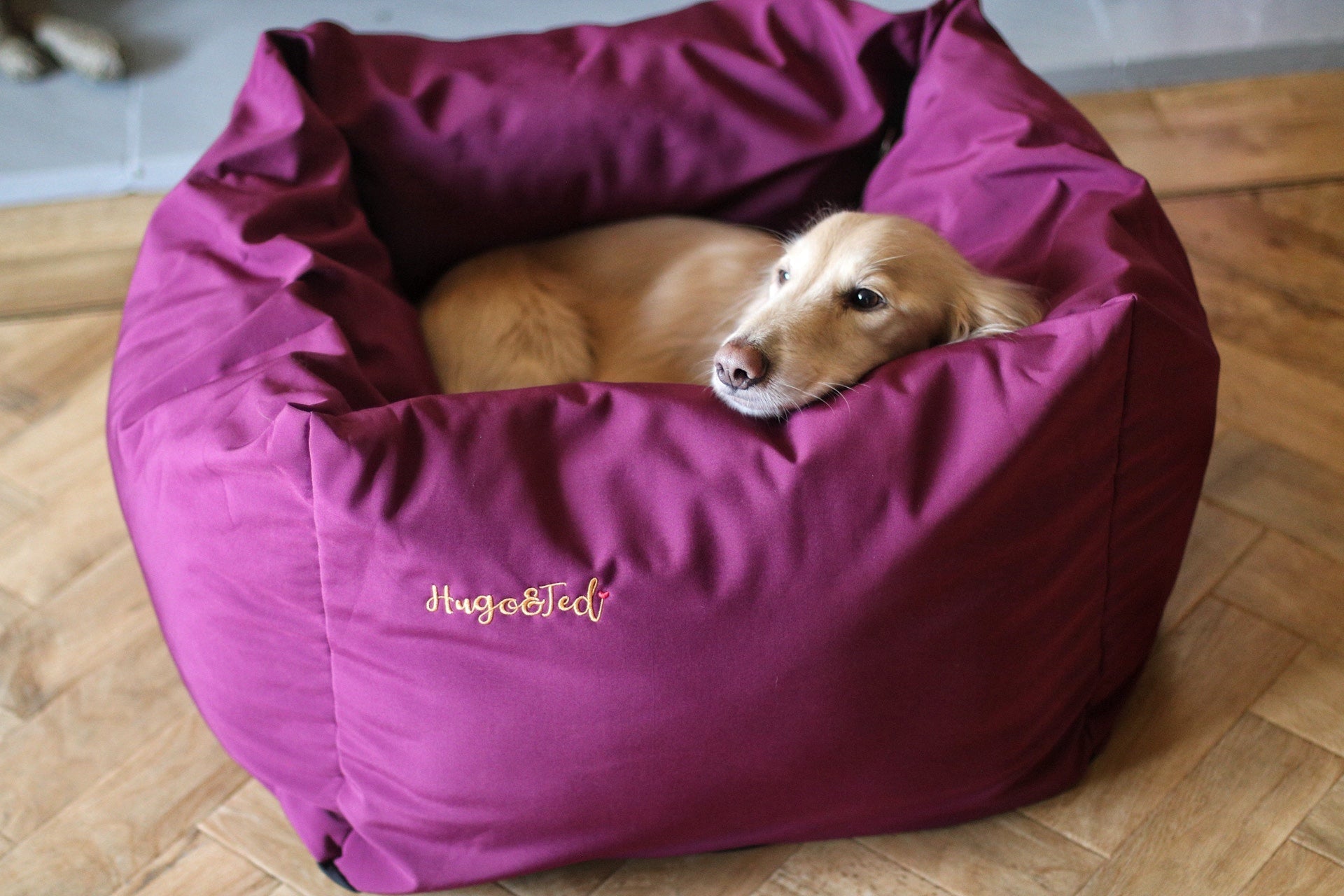 Waterproof Rainfleece Box Bed - Hugo and Ted