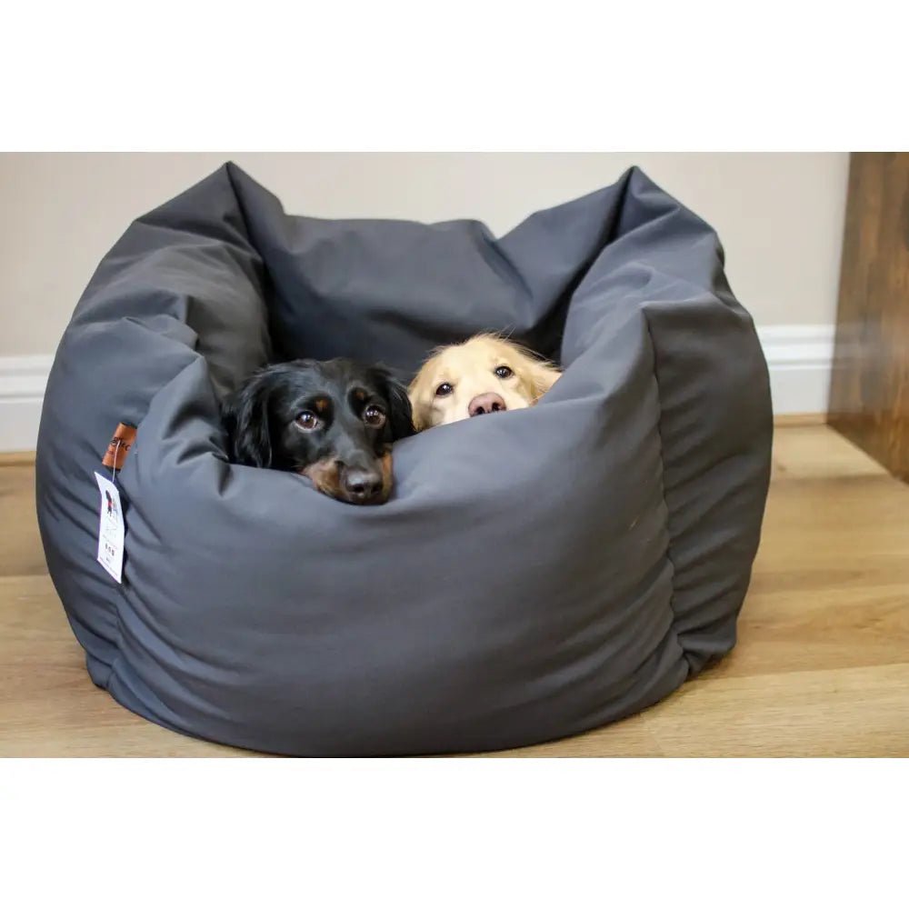 Waterproof Rainfleece Box Bed - Removable Covers, Machine Washable - Hugo and Ted