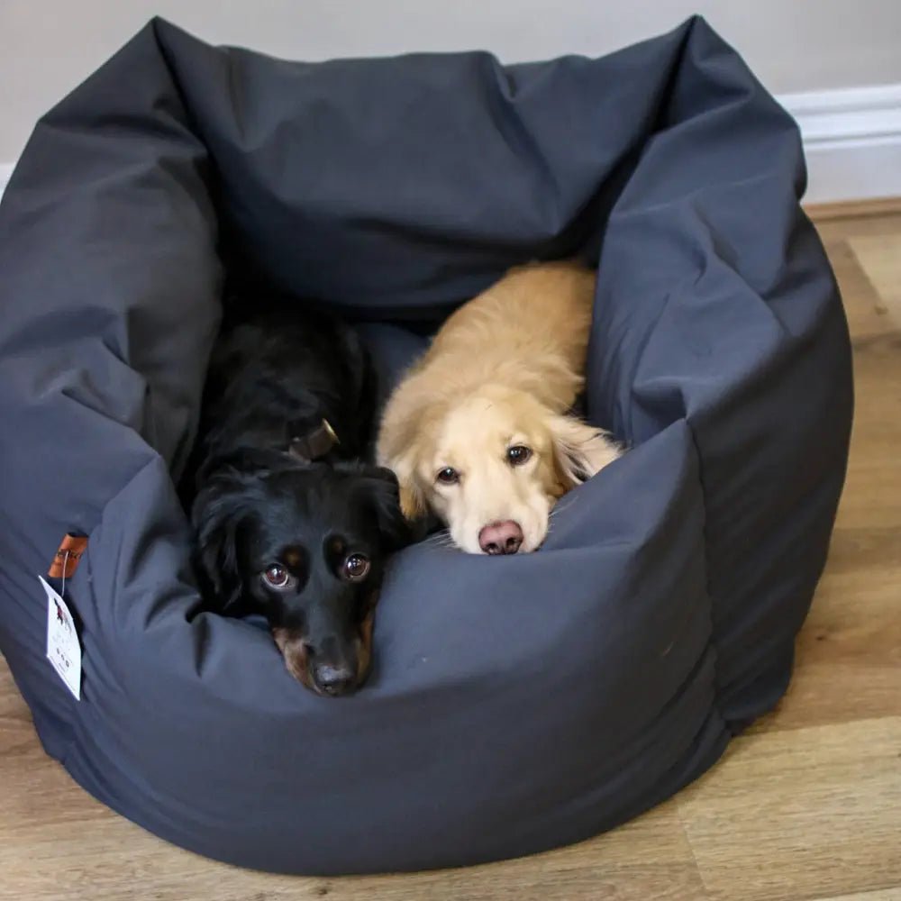 Waterproof Rainfleece Box Bed - Removable Covers, Machine Washable - Hugo and Ted