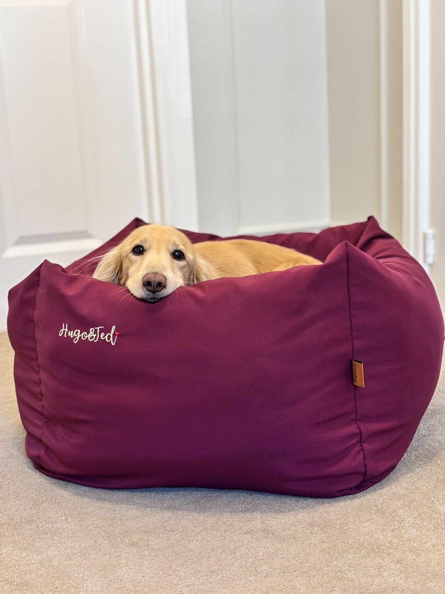 Waterproof Rainfleece Box Beds - Sustainable, Waterproof & Machine Washable with Removable Cover - Hugo and Ted