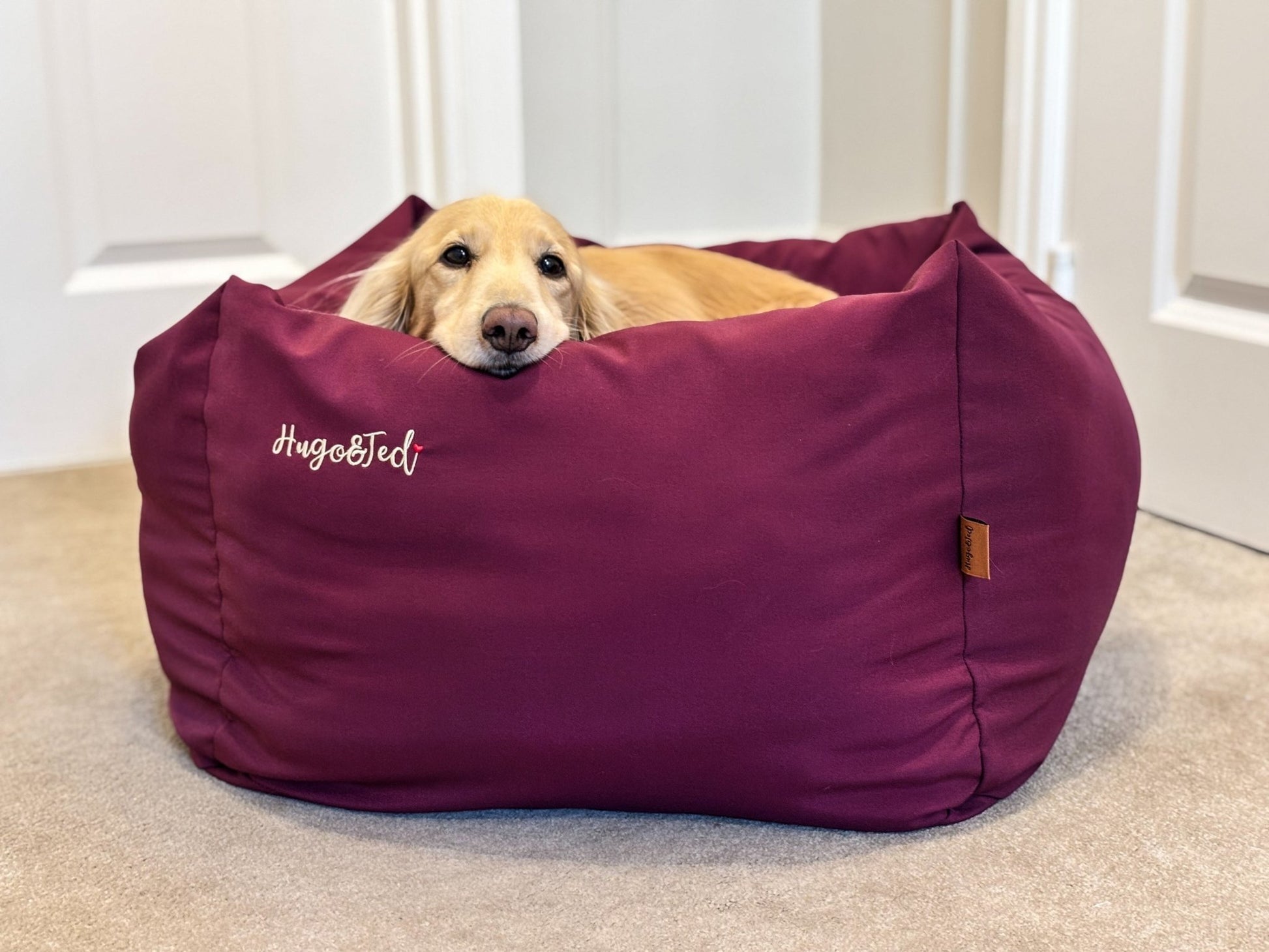 Waterproof Rainfleece Box Beds - Sustainable, Waterproof & Machine Washable with Removable Cover - Hugo and Ted