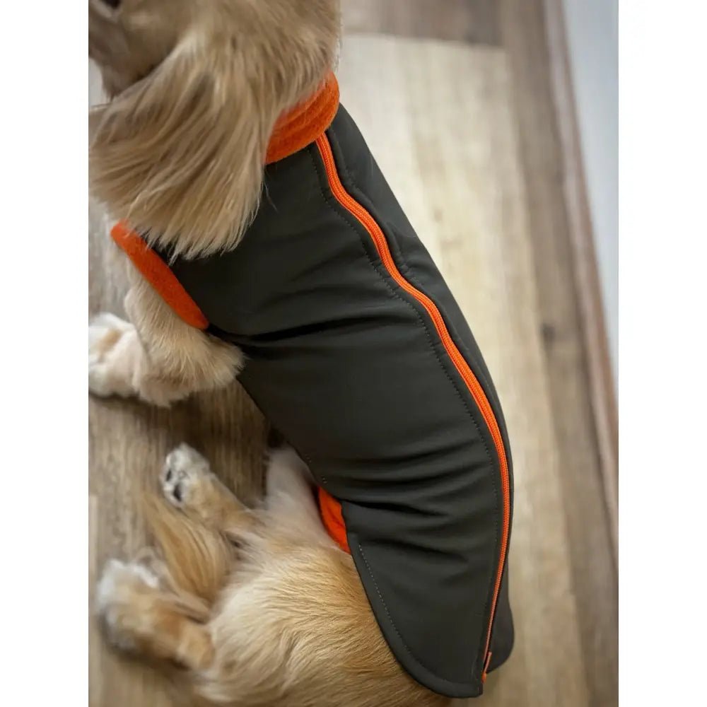 Waterproof Rainfleece Dog Coat - Made to Measure | Hugo and Ted - Hugo and Ted