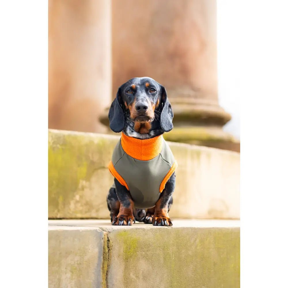 Waterproof Rainfleece Dog Coat - Made to Measure | Hugo and Ted - Hugo and Ted