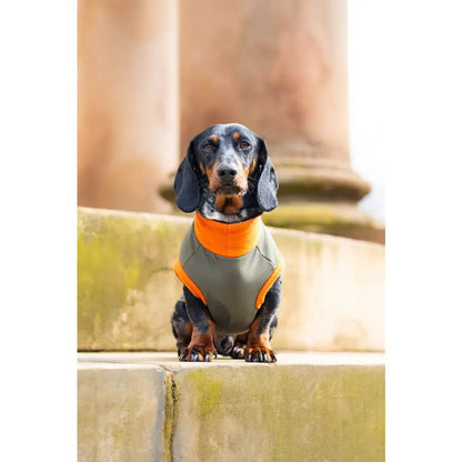 Waterproof Rainfleece Dog Coat - Made to Measure | Hugo and Ted - Hugo and Ted