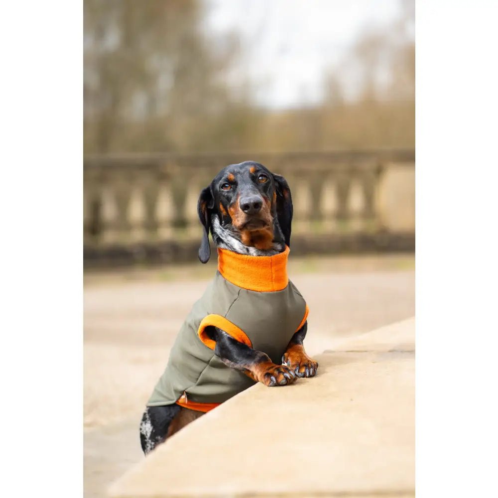 Waterproof Rainfleece Dog Coat - Made to Measure | Hugo and Ted - Hugo and Ted