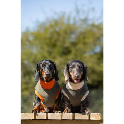 Waterproof Rainfleece Dog Coat - Made to Measure | Hugo and Ted - Hugo and Ted