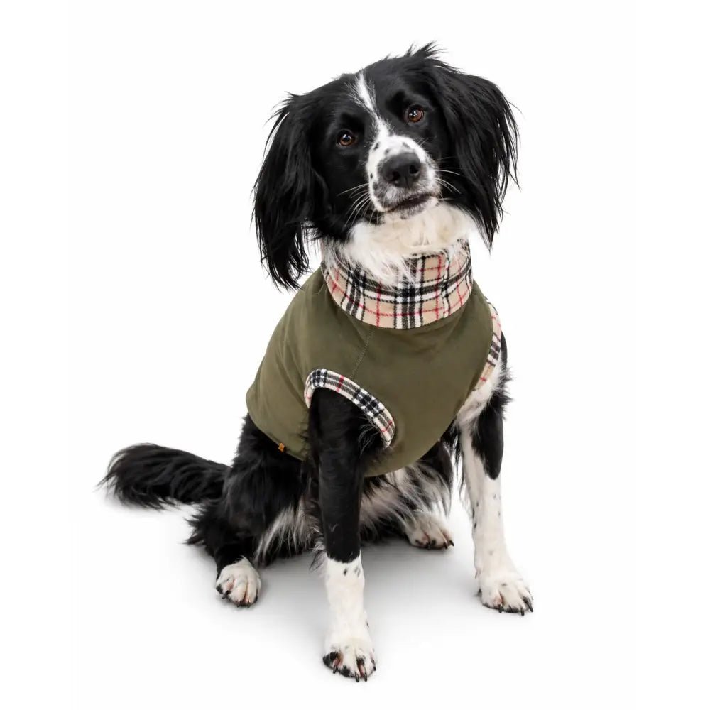 Waterproof Rainfleece Dog Coat - Ready to Ship - Hugo and Ted