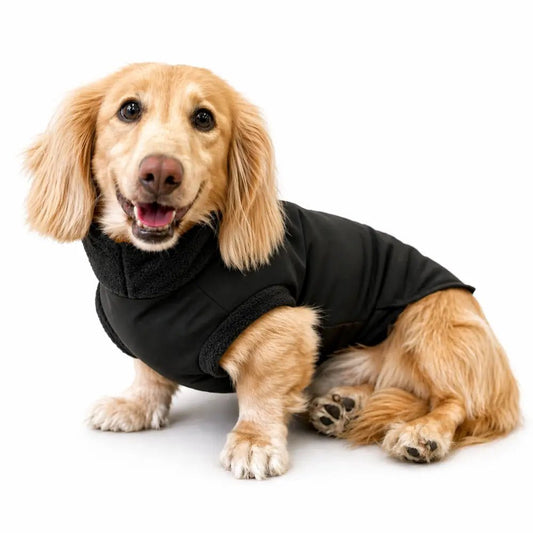Waterproof Rainfleece Dog Coat - Ready to Ship - Hugo and Ted