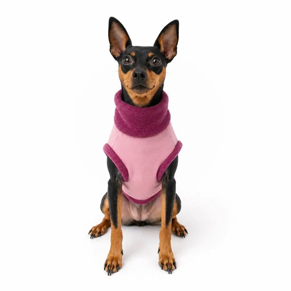 Waterproof Rainfleece Dog Coat - Ready to Ship - Hugo and Ted