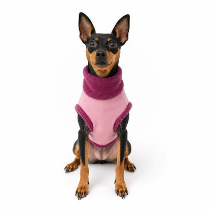 Waterproof Rainfleece Dog Coat - Ready to Ship - Hugo and Ted