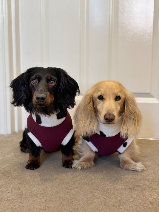 Waterproof Rainfleece Dog Coats – Made to Measure, Waterproof & Thermal for All - Weather Protection - Hugo and Ted