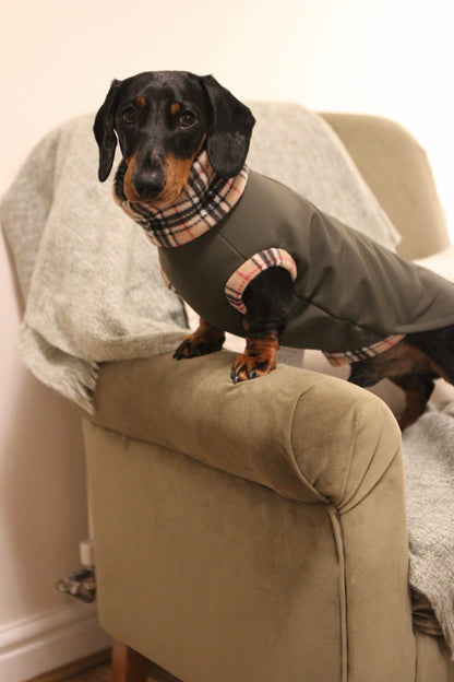 Waterproof Rainfleece Dog Coats – Made to Measure, Waterproof & Thermal for All - Weather Protection - Hugo and Ted