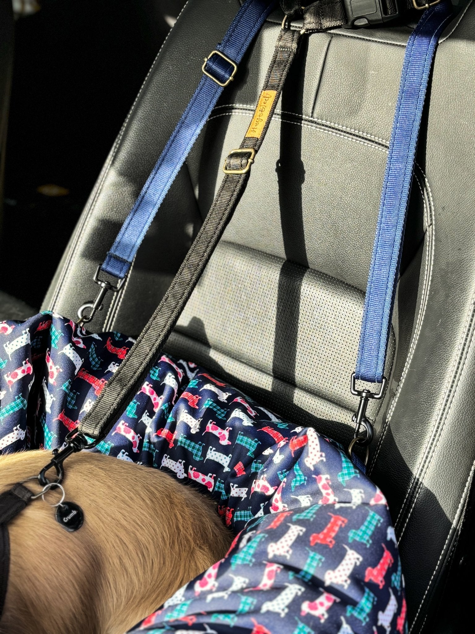 Waterproof Rainfleece Hugo and Ted Collection Car Beds - Hugo and Ted